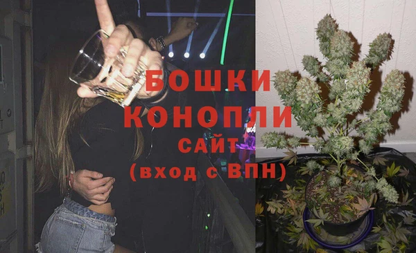 шишки Аркадак
