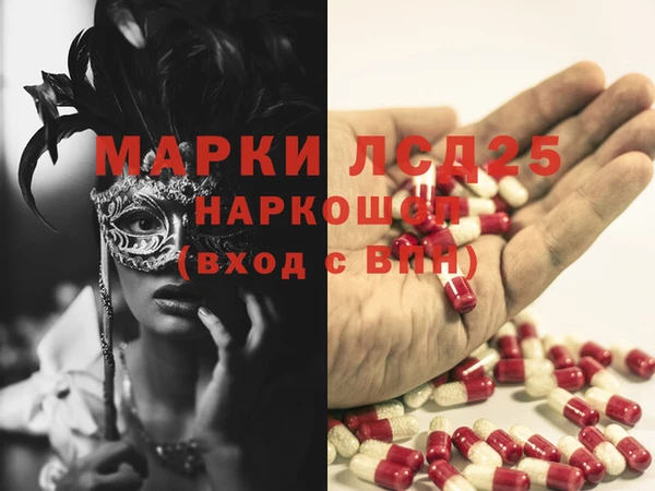 шишки Аркадак