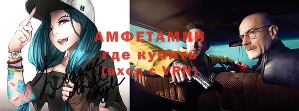 шишки Аркадак