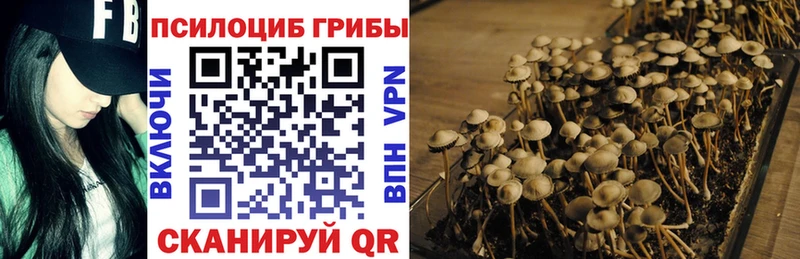 где купить   даркнет Telegram  Галлюциногенные грибы ЛСД  Лянтор 